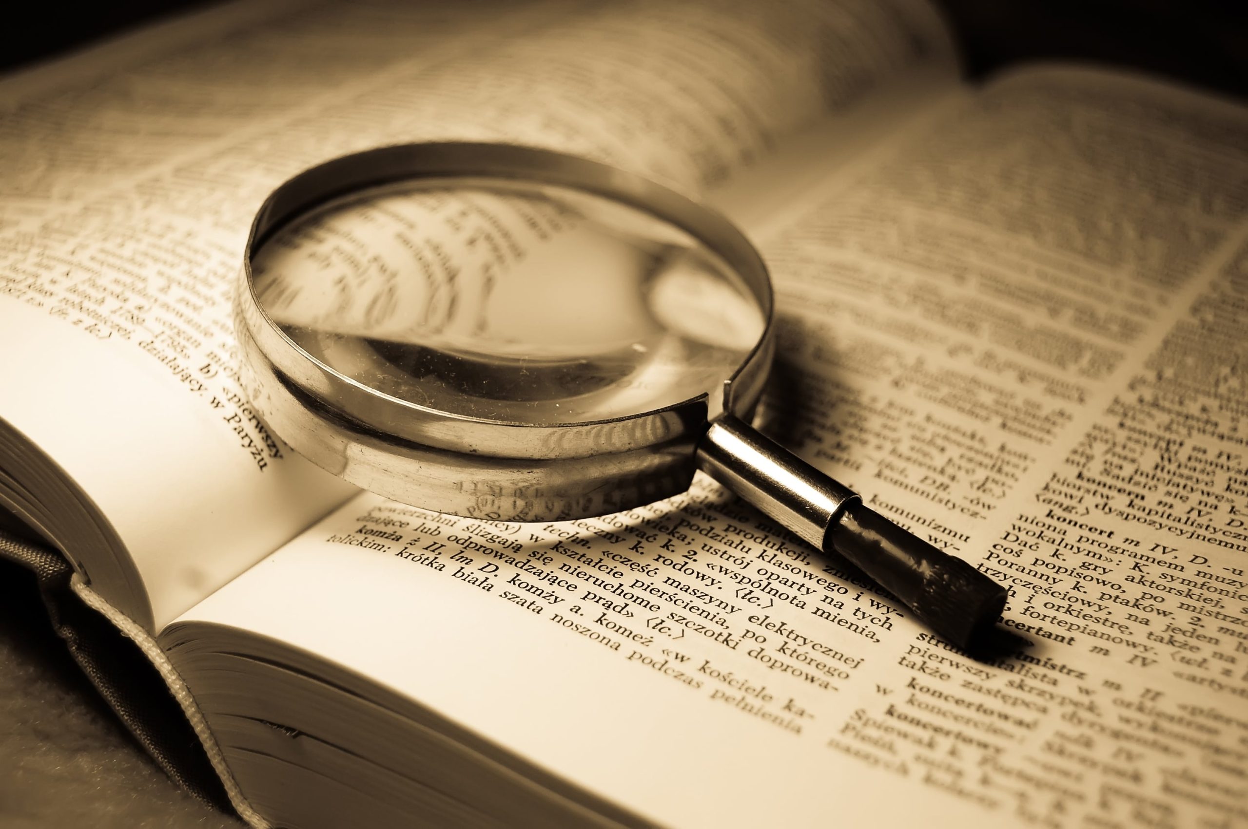 Glossary Automate SEO 4